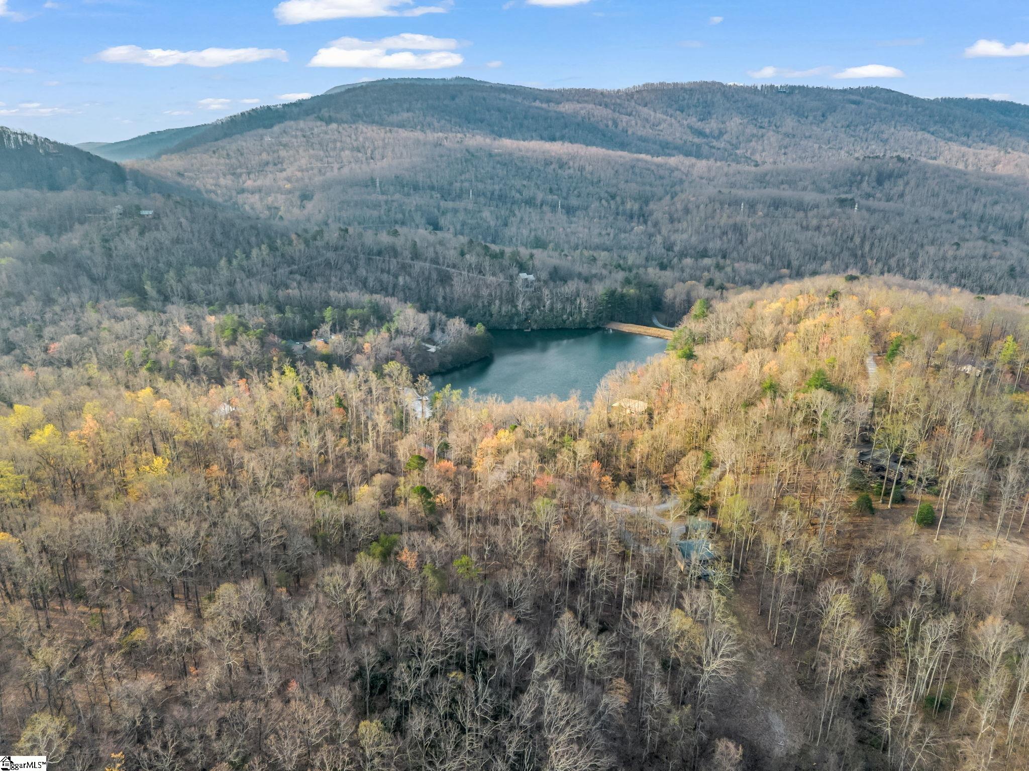 Tbd Mountain Lakes Drive Tryon, NC 28782 - Photo 15 of 15