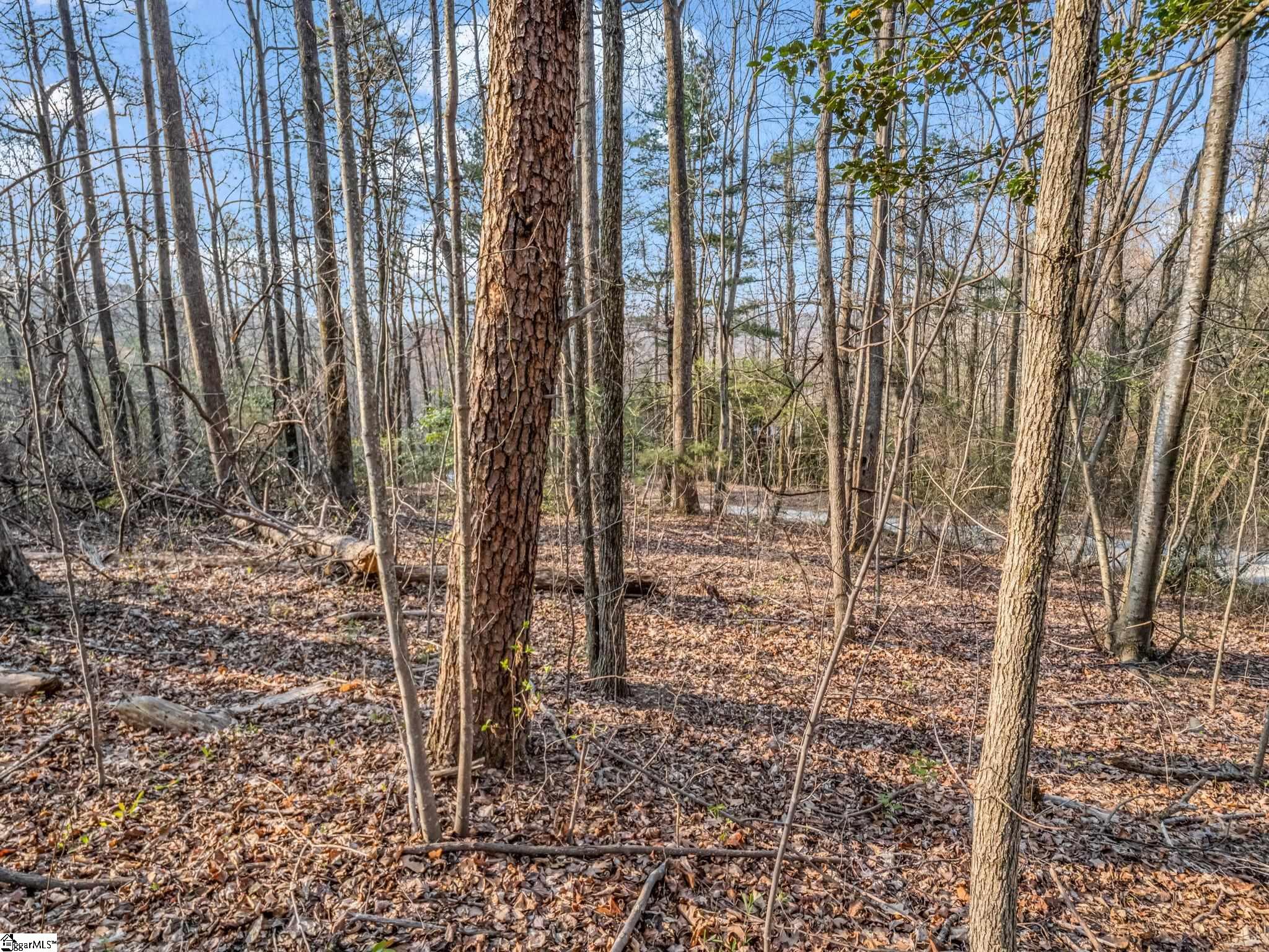 Tbd Mountain Lakes Drive Tryon, NC 28782 - Photo 5 of 15