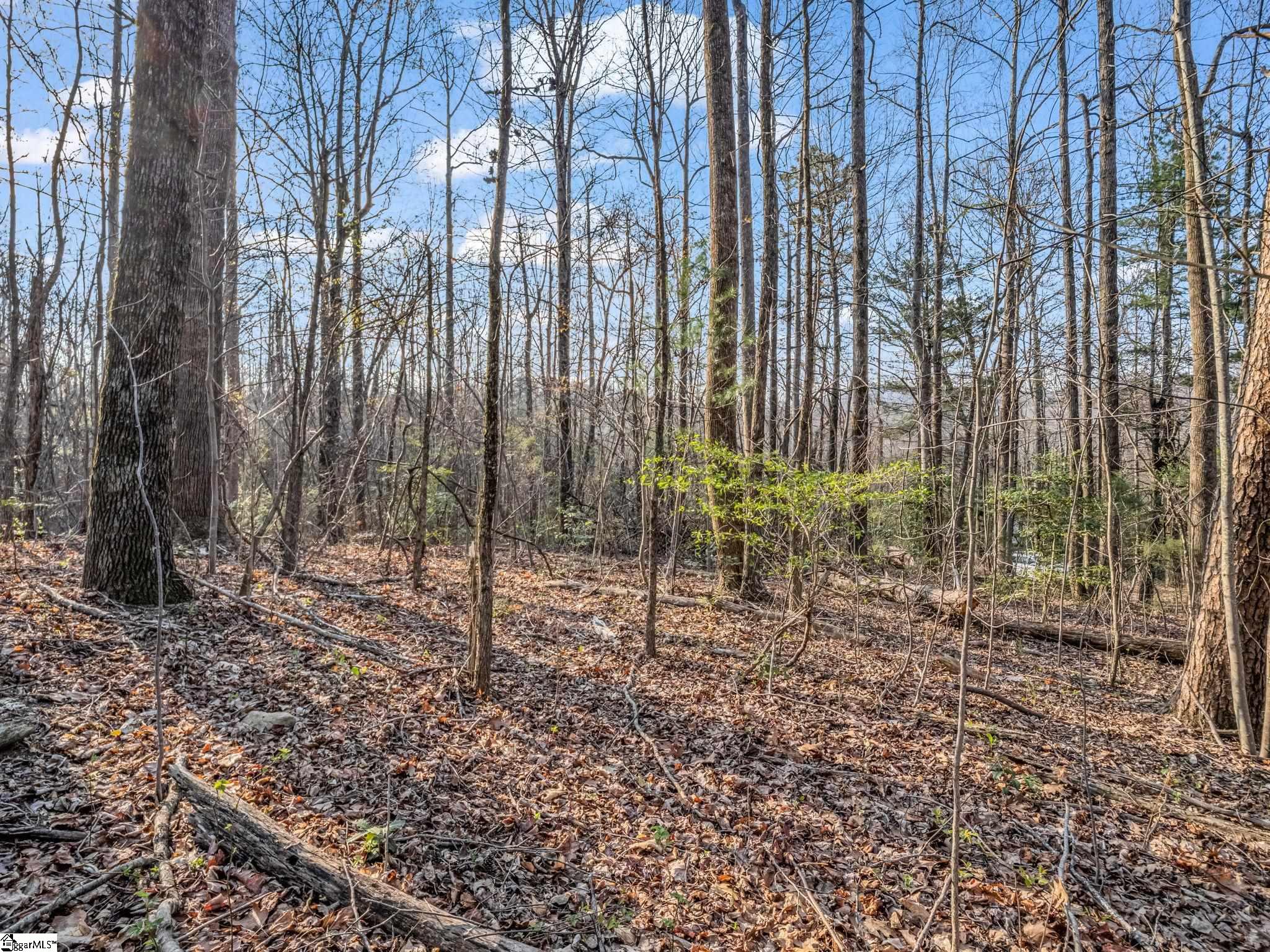 Tbd Mountain Lakes Drive Tryon, NC 28782 - Photo 6 of 15