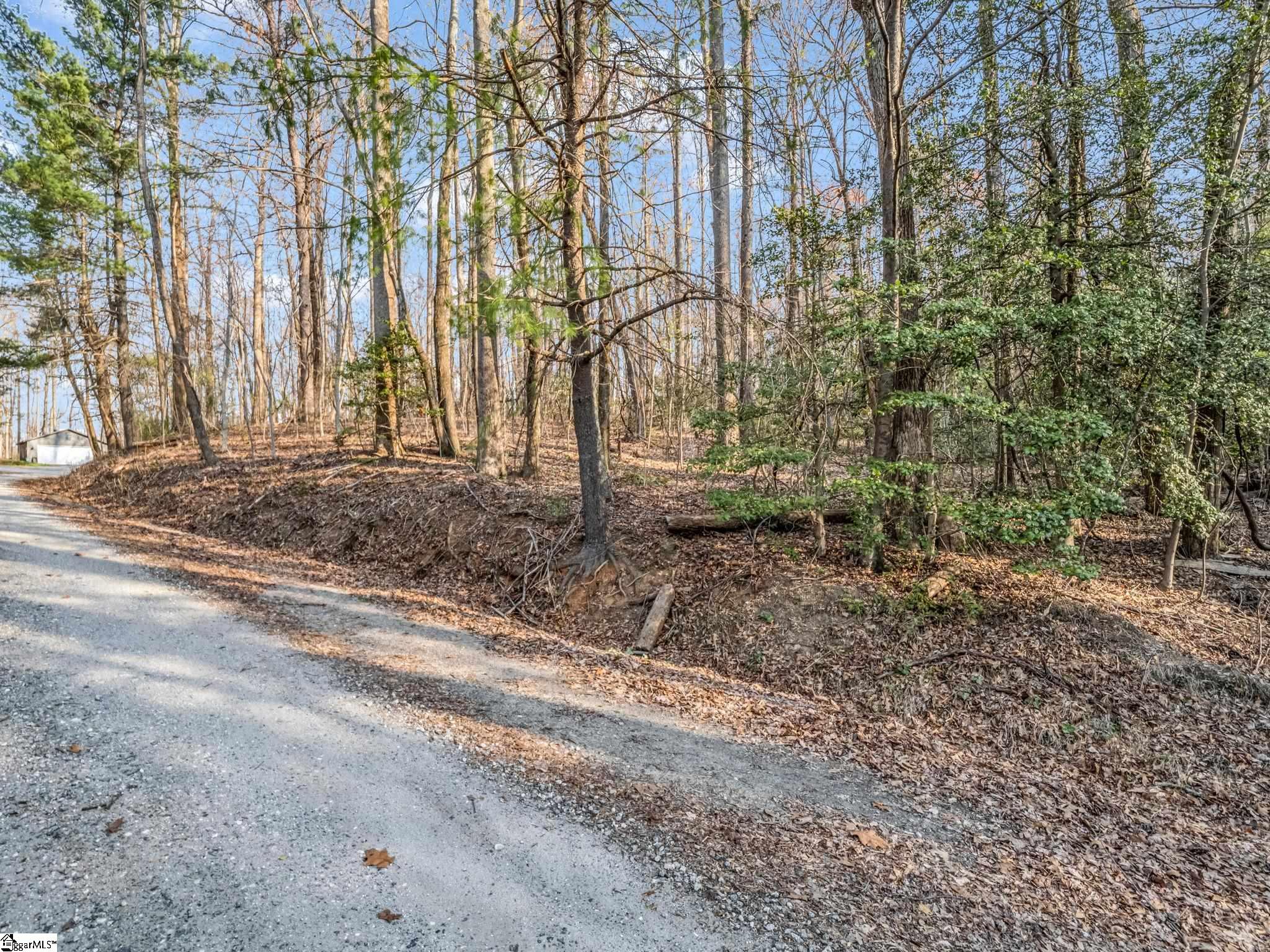Tbd Mountain Lakes Drive Tryon, NC 28782 - Photo 7 of 15
