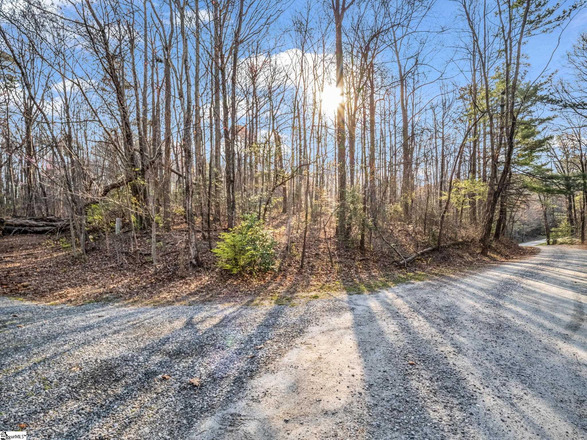 Tbd Mountain Lakes Drive Tryon, NC 28782 - Photo 8 of 15