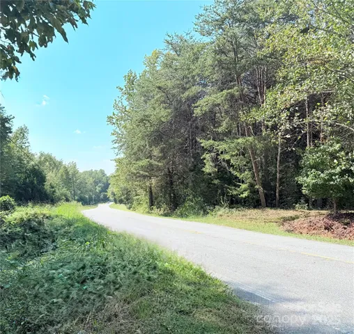 a view of a yard with large trees
