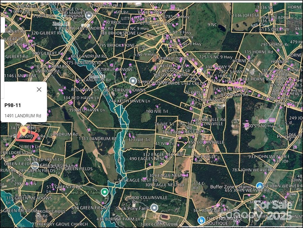 1491 Landrum Road Columbus, NC 28722 - Photo 9 of 15 a bird view of a house