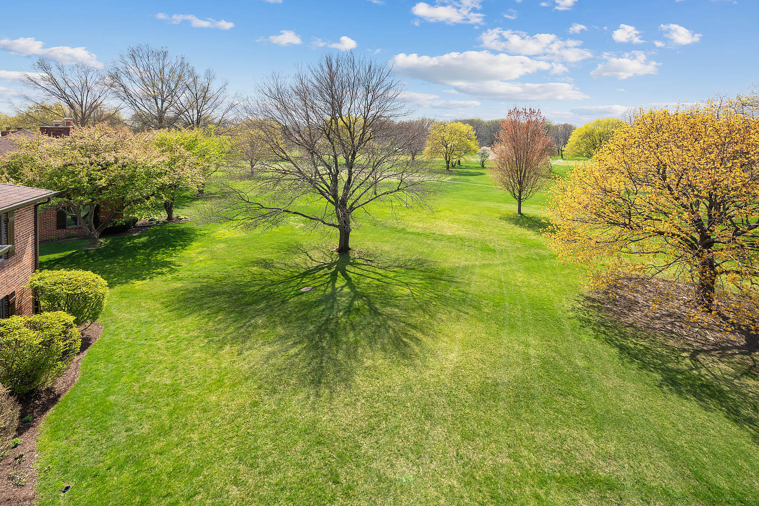 90 Golfview Lane, Unit B Frankfort, IL 60423 - Photo 19 of 22