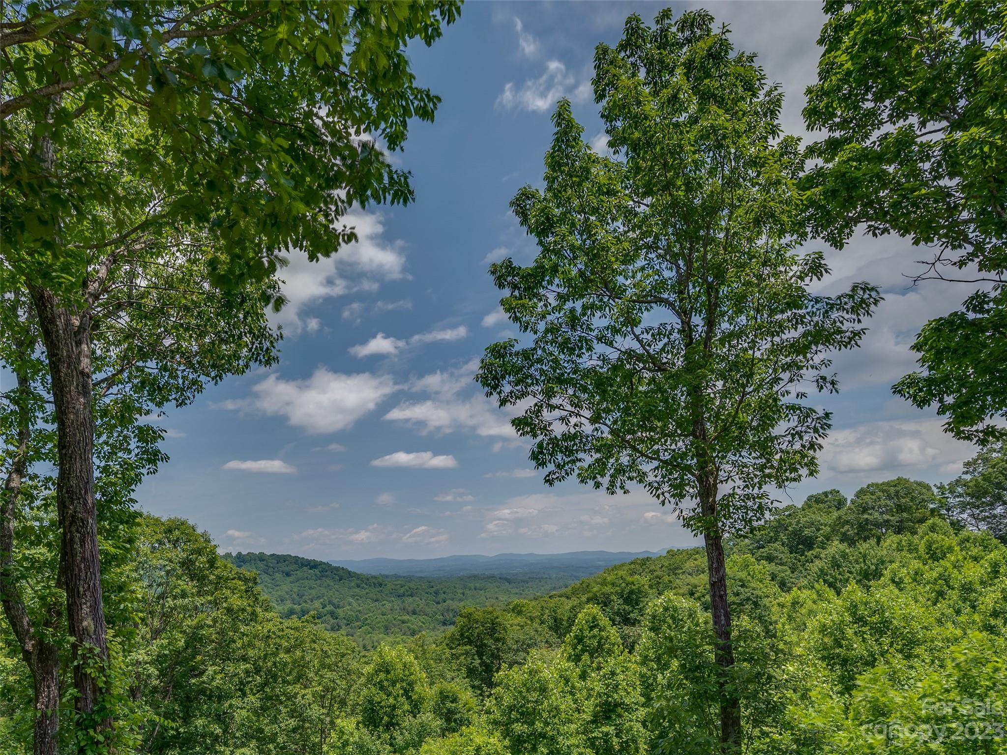 20 Spring Ridge Lane Hendersonville, NC 28739 - Photo 30 of 41 Gallery Image 30