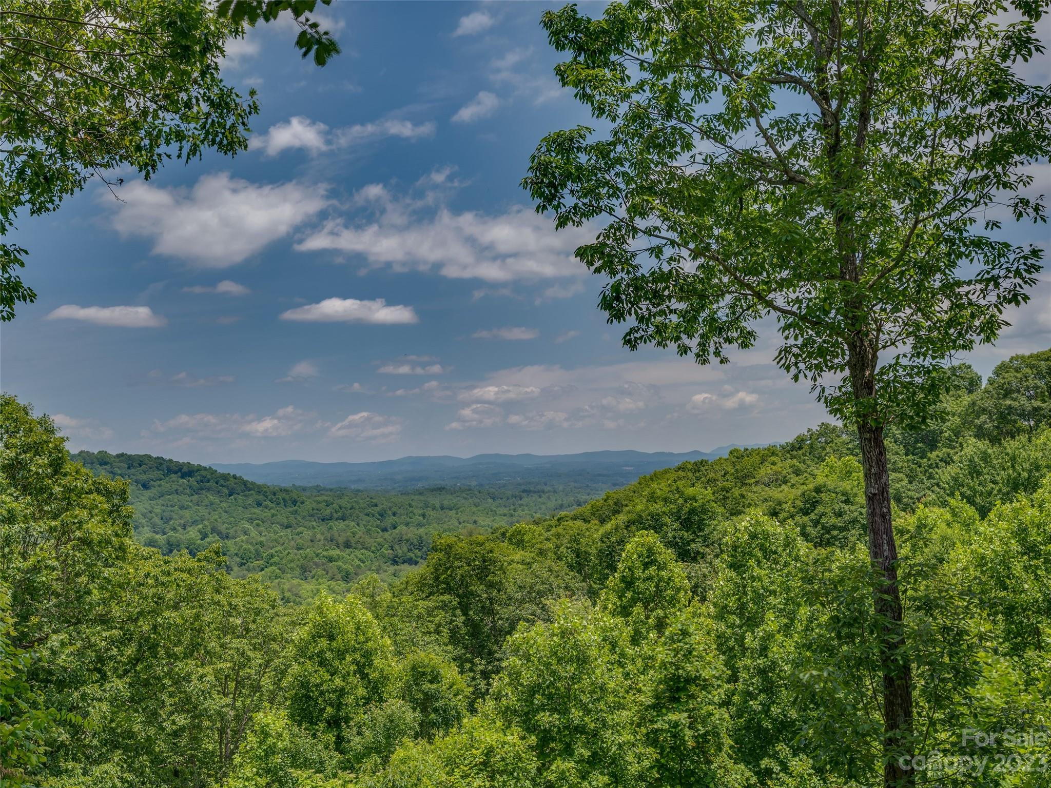 20 Spring Ridge Lane Hendersonville, NC 28739 - Photo 31 of 41 Gallery Image 31