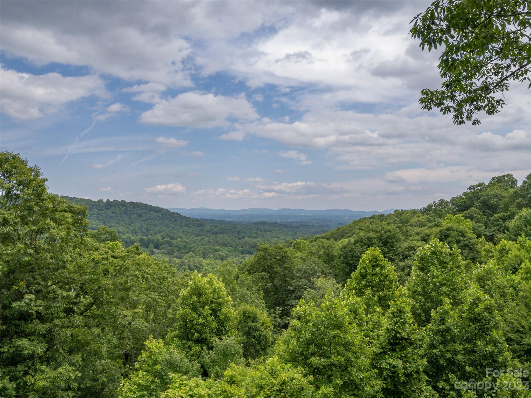 20 Spring Ridge Lane Hendersonville, NC 28739 - Photo 33 of 41 Gallery Image 33