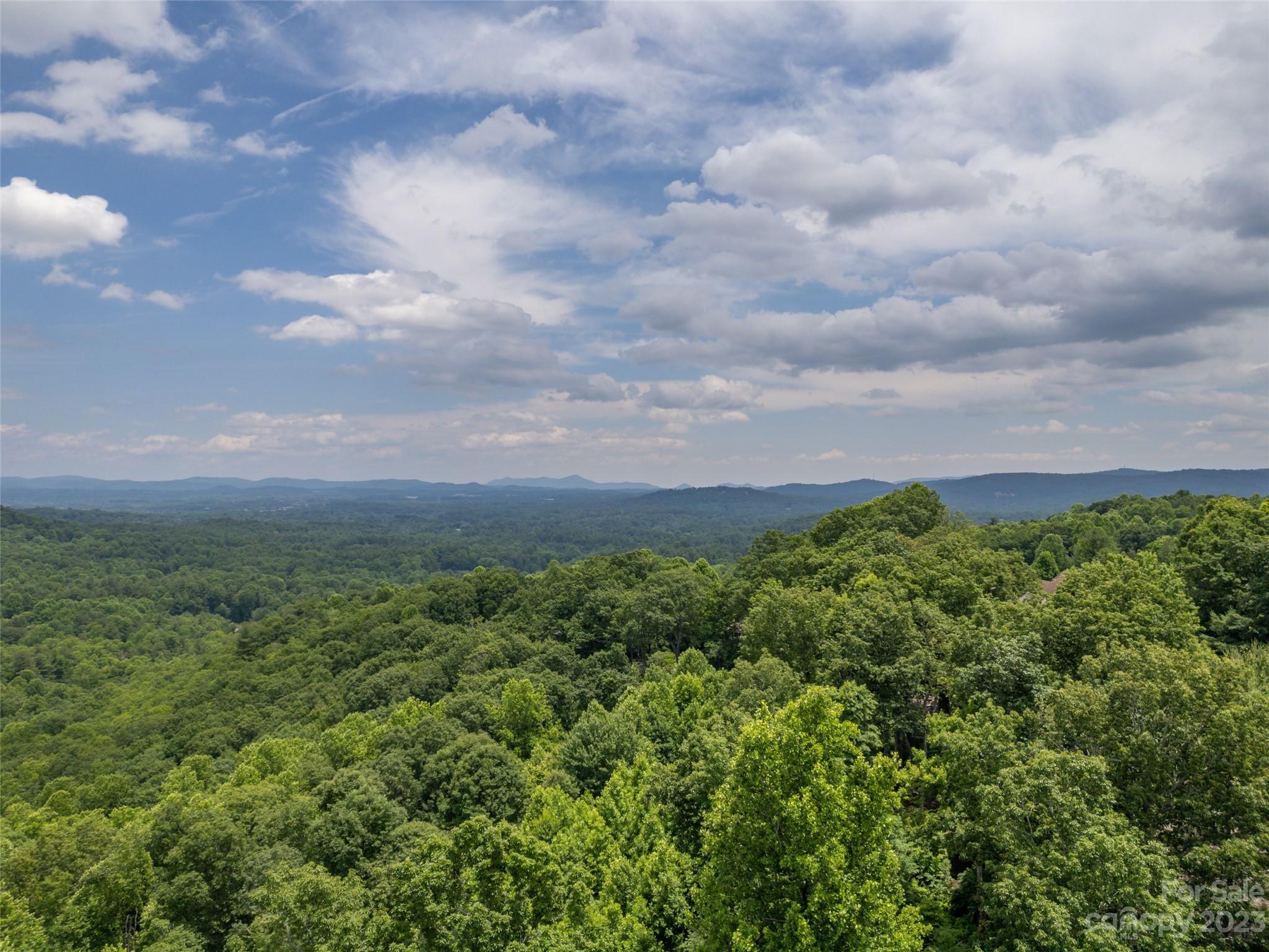 20 Spring Ridge Lane Hendersonville, NC 28739 - Photo 34 of 41 Gallery Image 34