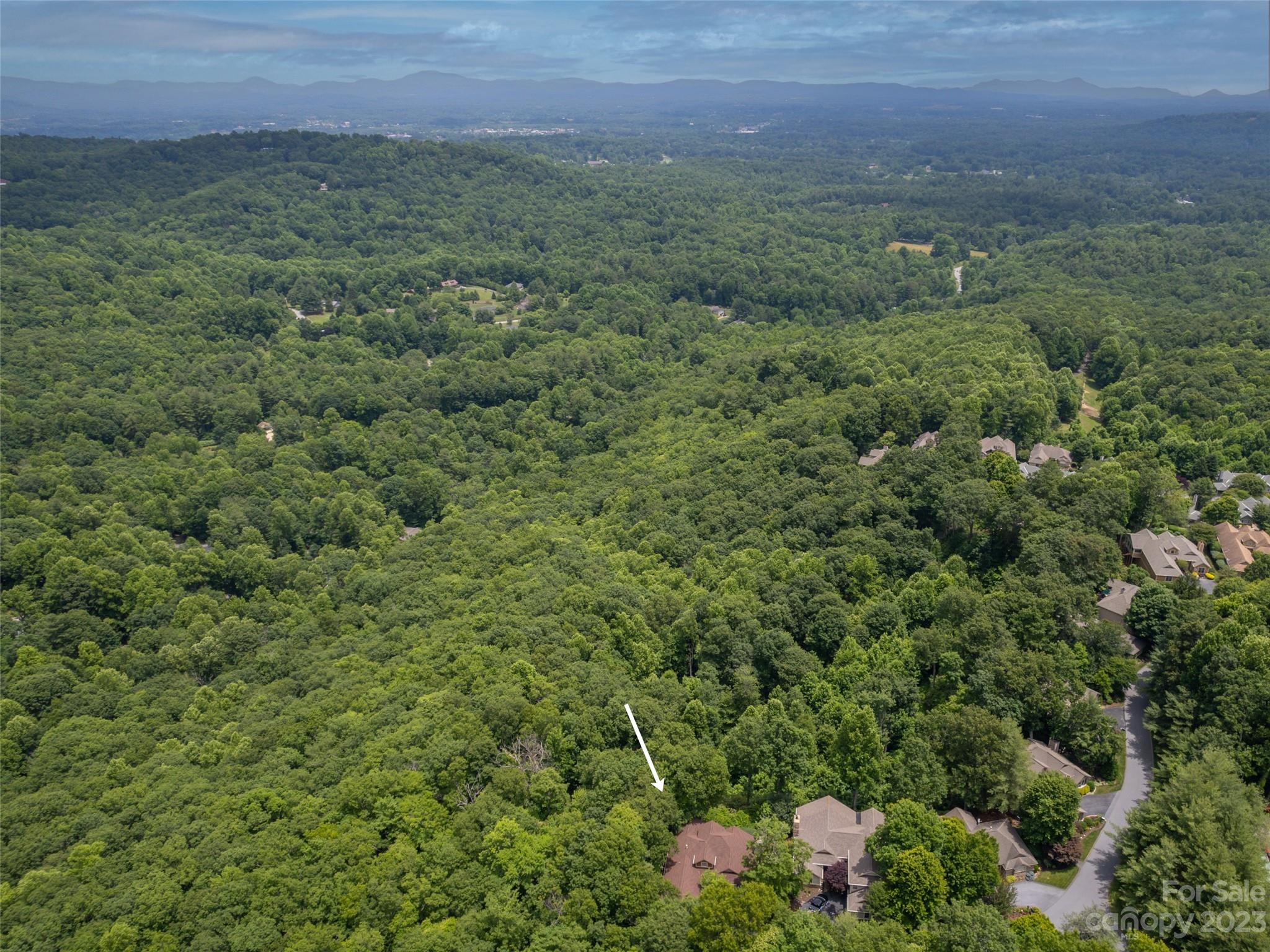 20 Spring Ridge Lane Hendersonville, NC 28739 - Photo 39 of 41 Gallery Image 39