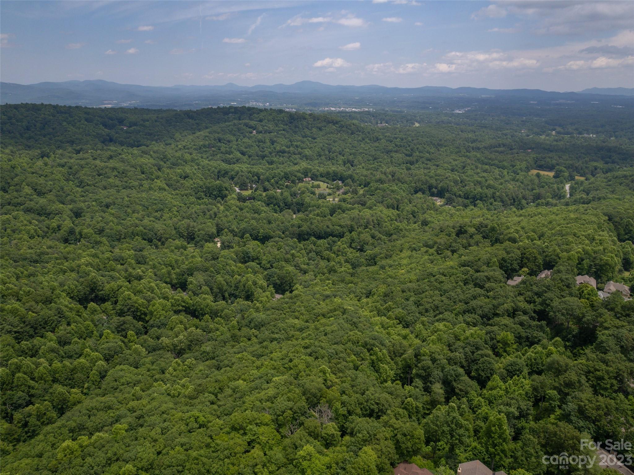 20 Spring Ridge Lane Hendersonville, NC 28739 - Photo 40 of 41 Gallery Image 40