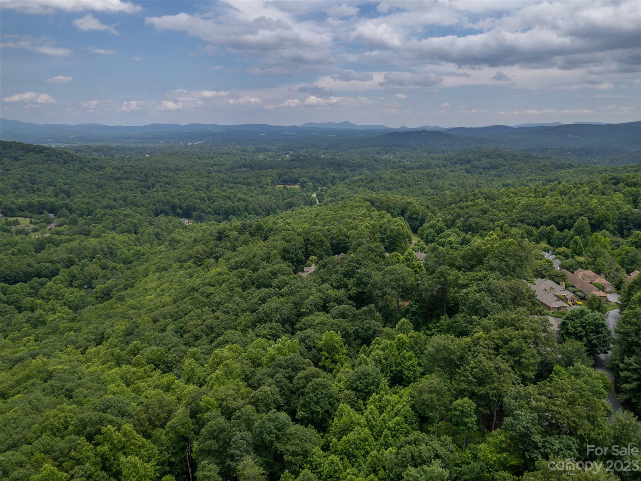 20 Spring Ridge Lane Hendersonville, NC 28739 - Photo 41 of 41 Gallery Image 41