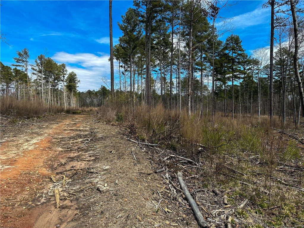 Lot 3 Coffee Road Walhalla, SC 29691 - Photo 1 of 11 Gallery Image 1