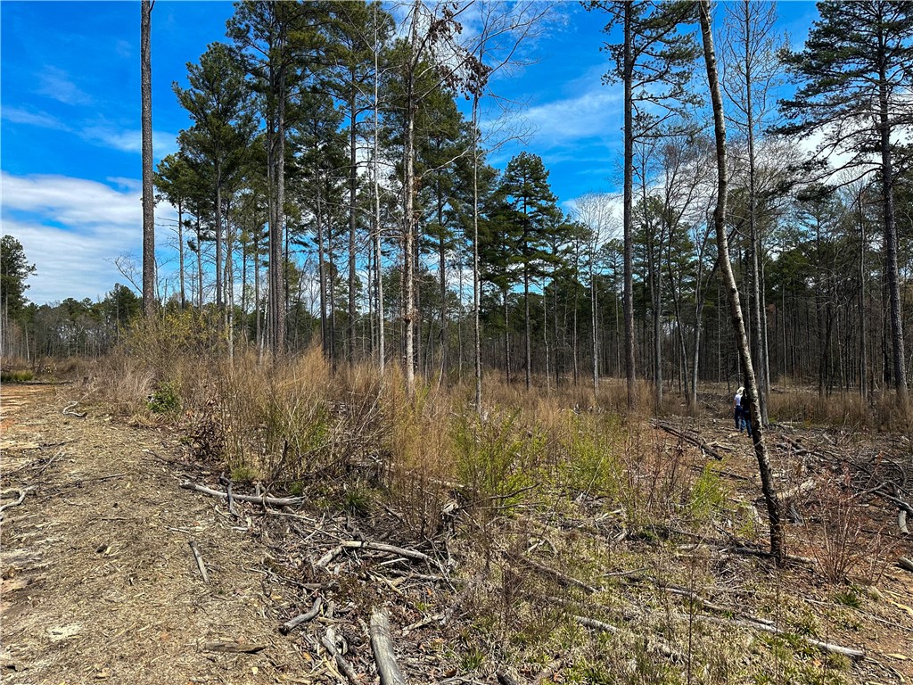 Lot 3 Coffee Road Walhalla, SC 29691 - Photo 3 of 11 Gallery Image 3