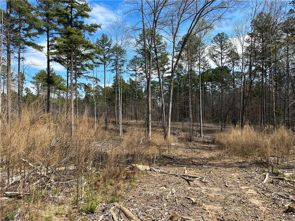 Lot 3 Coffee Road Walhalla, SC 29691 - Photo 5 of 11 Gallery Image 5