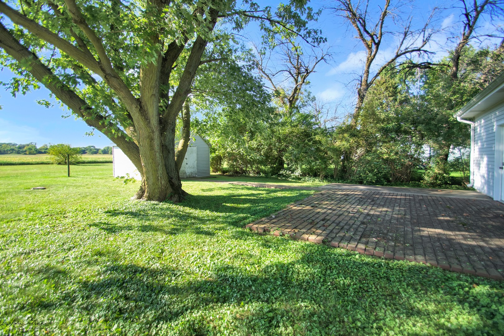136 South 7000W Road Kankakee, IL 60901 - Photo 19 of 21