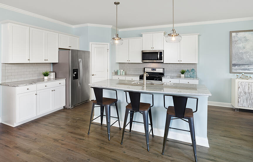 2233 Cooper Farm Road Johns Island, SC 29455 - Photo 3 of 12 Kitchen