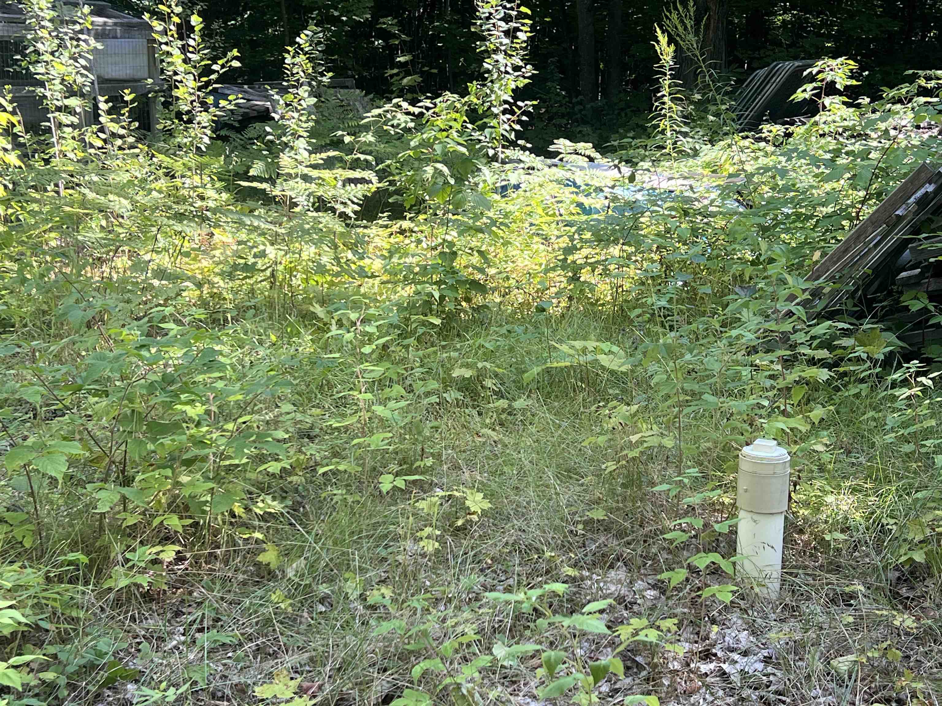 4170 Toat Road Northeast Kalkaska, MI 49646 - Photo 13 of 17 Gallery Image 13