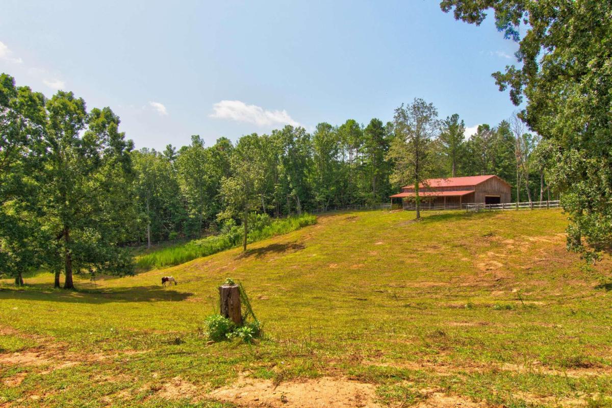 31 Sheep Wallow Road Dahlonega, GA 30533 - Photo 1 of 1 Gallery Image 1