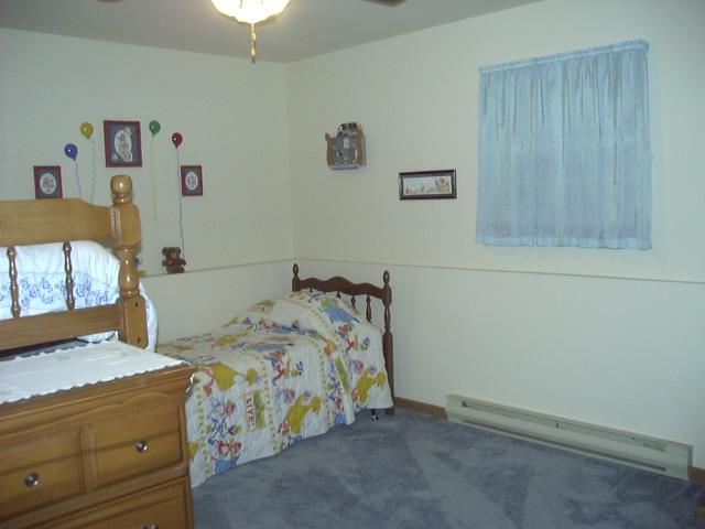 39 Comanche Pines Road Effort, PA 18330 - Photo 14 of 15 Lower Level Bedroom