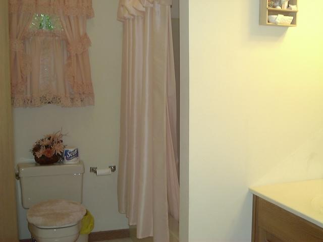 39 Comanche Pines Road Effort, PA 18330 - Photo 15 of 15 Main Bathroom