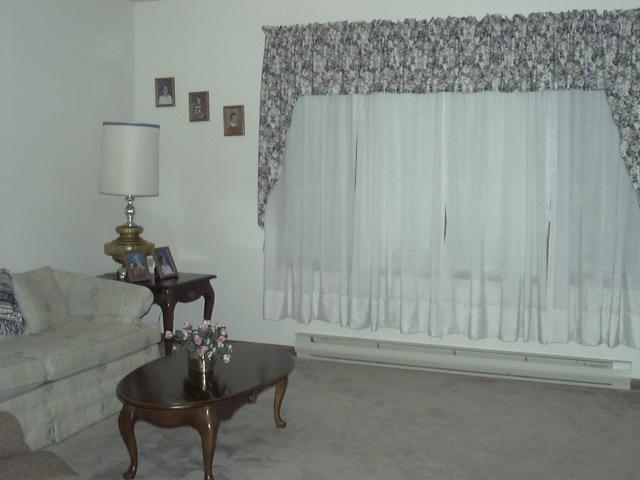 39 Comanche Pines Road Effort, PA 18330 - Photo 4 of 15 Living room picture window