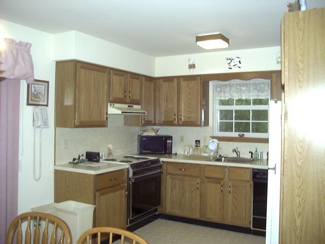 39 Comanche Pines Road Effort, PA 18330 - Photo 6 of 15 Kitchen