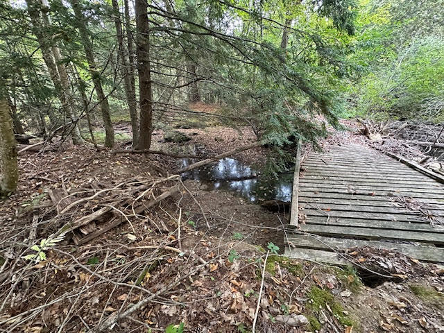 212 Rocky Road Northport, ME 04849 - Photo 52 of 81 unnamed - 2024-10-18T210455.473