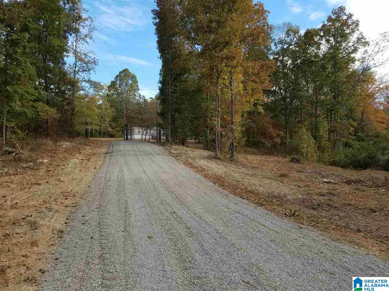801 Old Mink Farm Road Altoona, AL 35952 - Photo 18 of 24