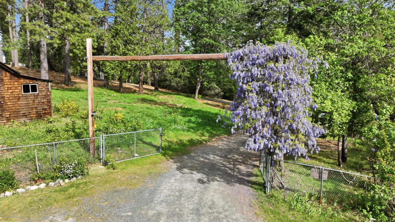 30695 Gold Run School Road Gold Run, CA 95717 - Photo 13 of 67