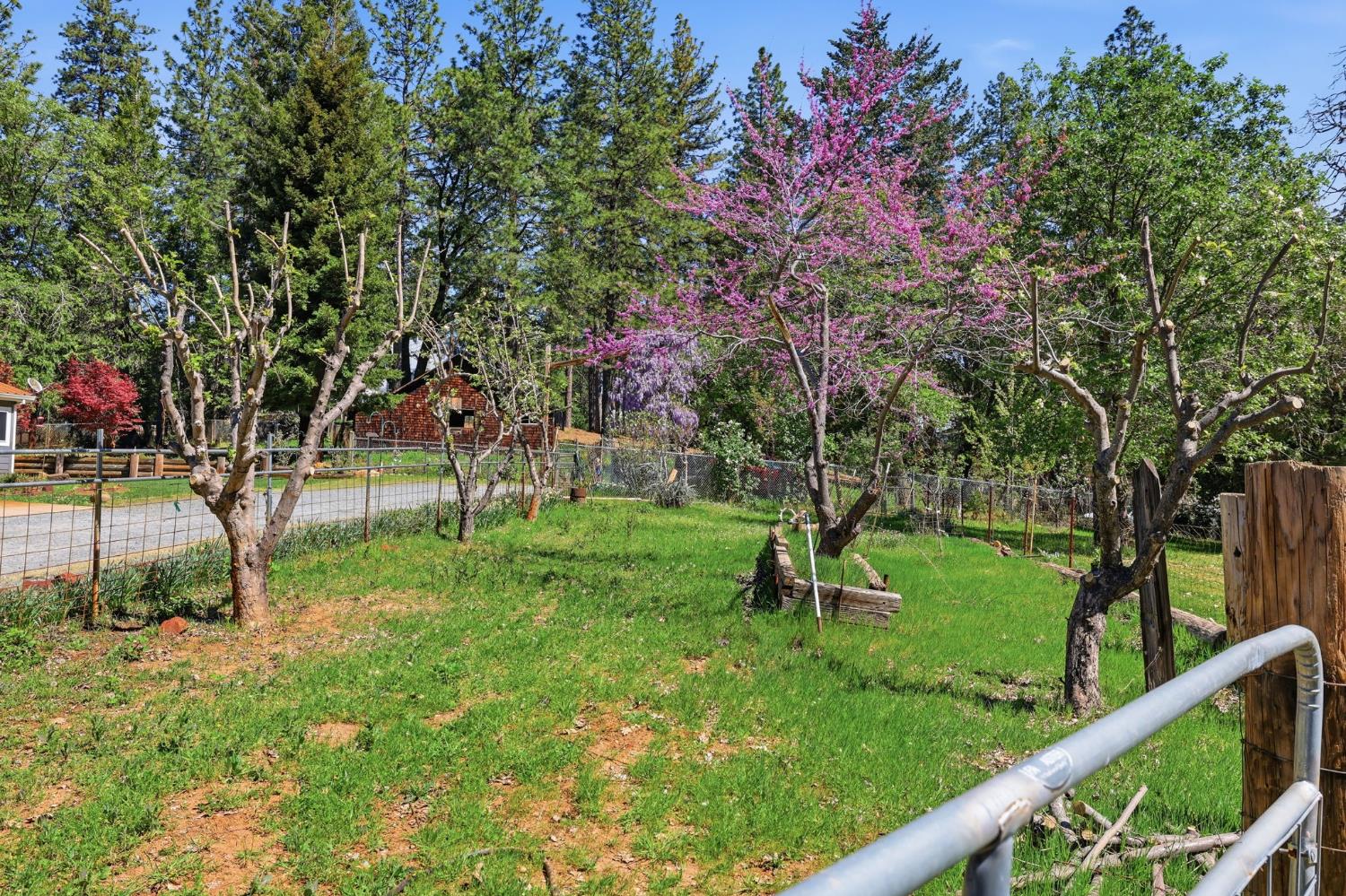 30695 Gold Run School Road Gold Run, CA 95717 - Photo 20 of 67