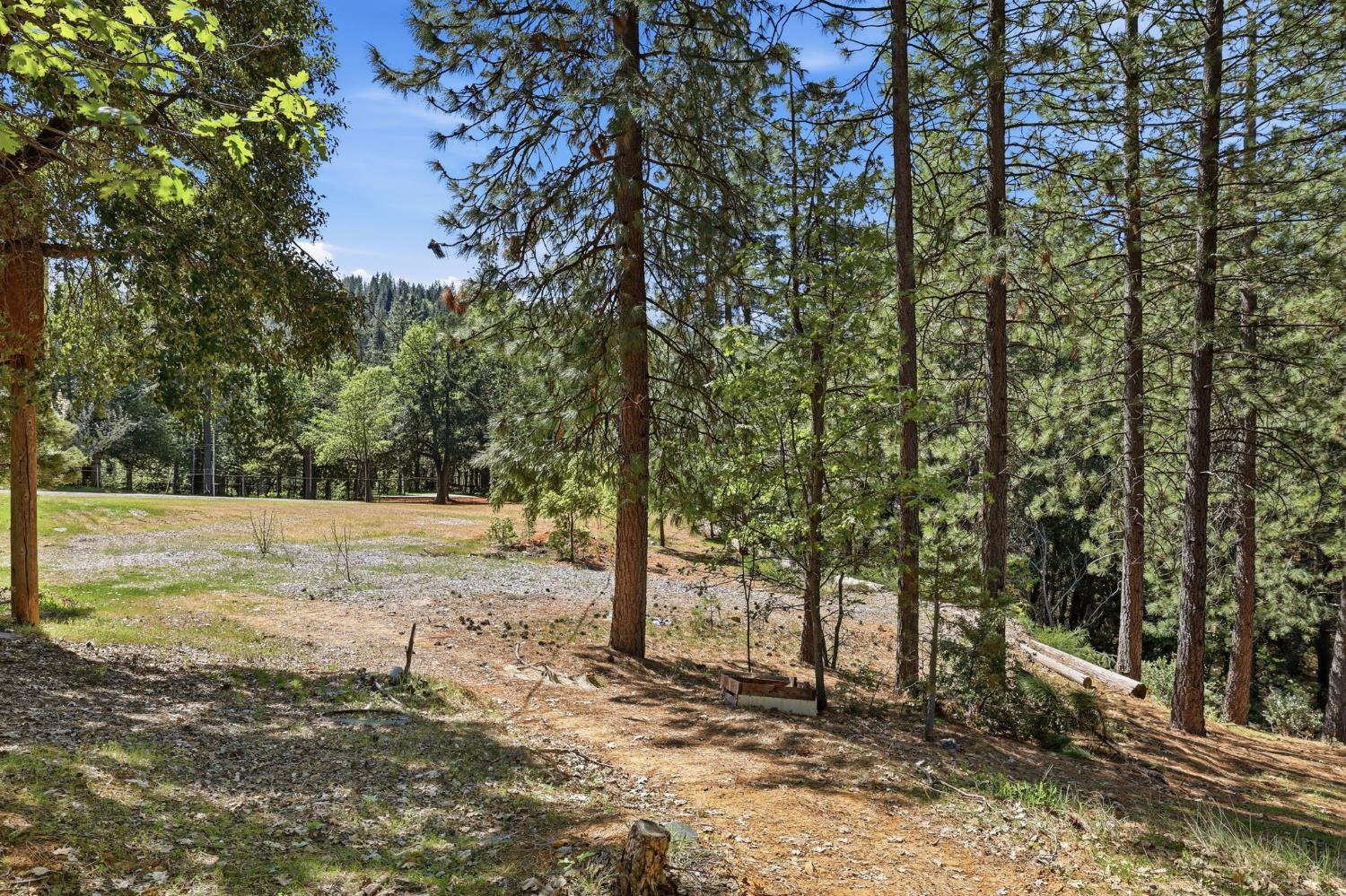 30695 Gold Run School Road Gold Run, CA 95717 - Photo 21 of 67