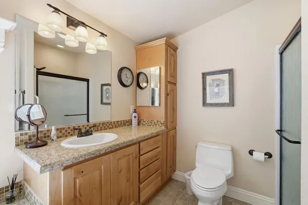 a view of a trees in a yard