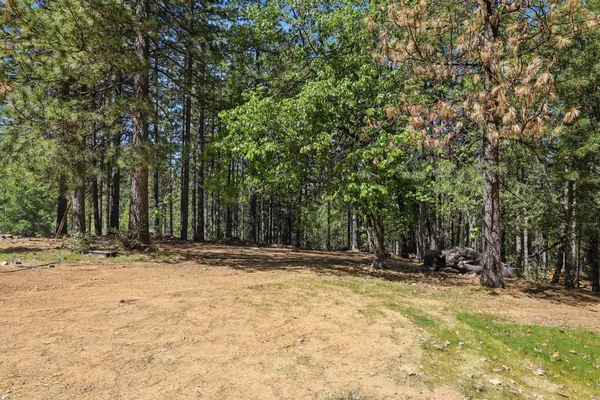 a living room with furniture a window and a flat screen tv