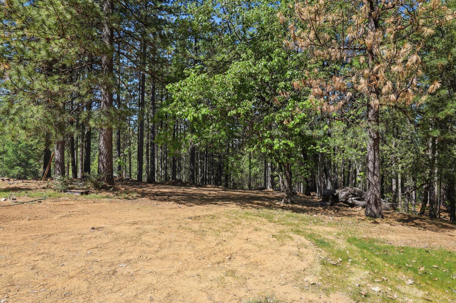 30695 Gold Run School Road Gold Run, CA 95717 - Photo 41 of 67