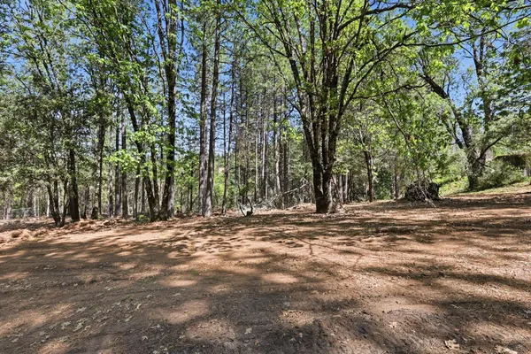a view of a lush green forest with trees and some houses