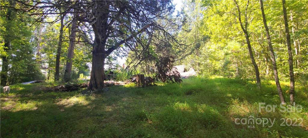 1 Chicken Farm Road Troy, NC 27371 - Photo 5 of 9 Gallery Image 5
