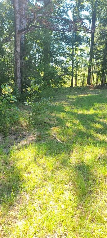 1 Chicken Farm Road Troy, NC 27371 - Photo 7 of 9 Gallery Image 7