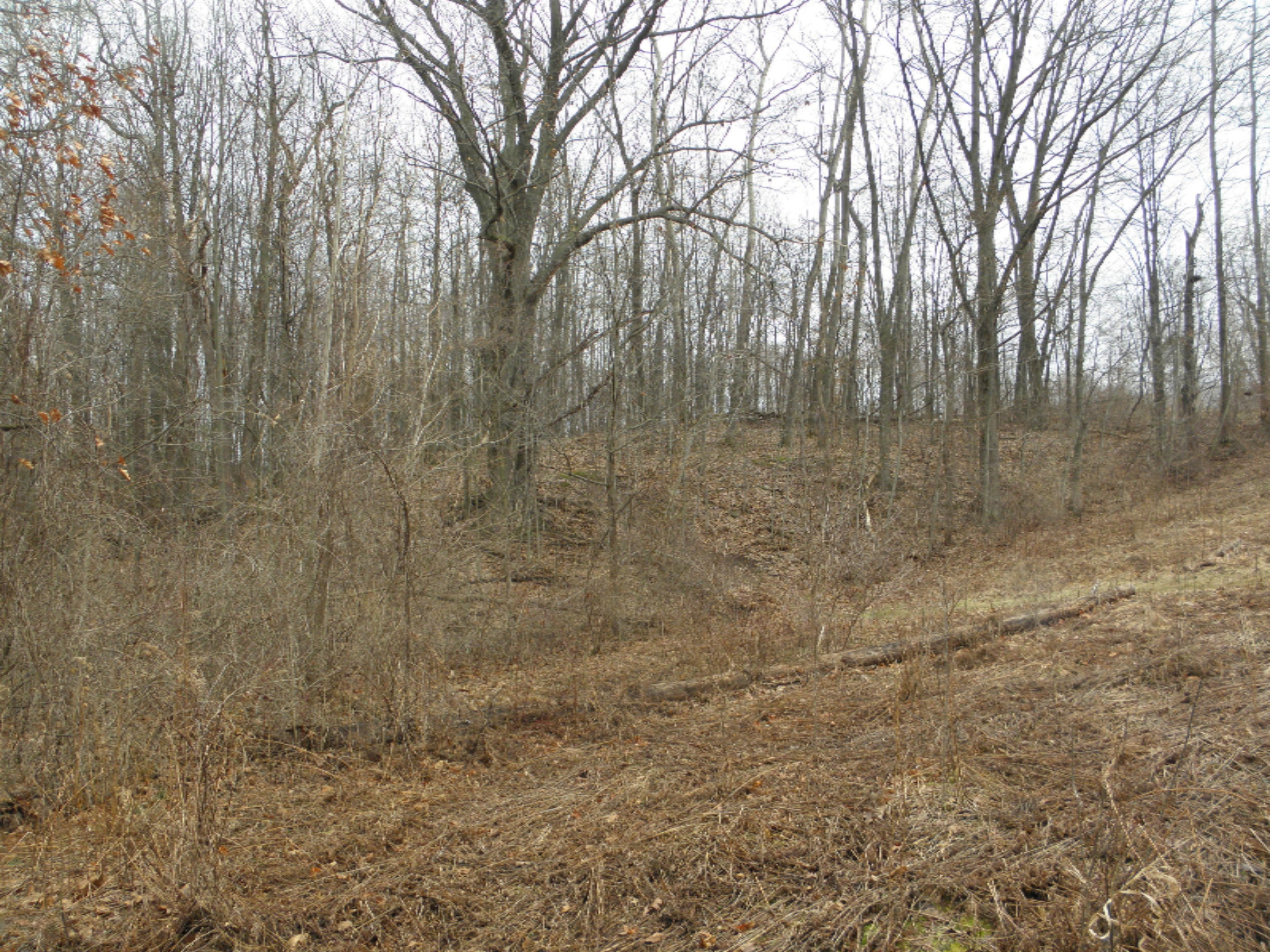 270 Markus Glen Drive, Unit 4 Plainwell, MI 49080 - Photo 1 of 3 P4030037.JPG