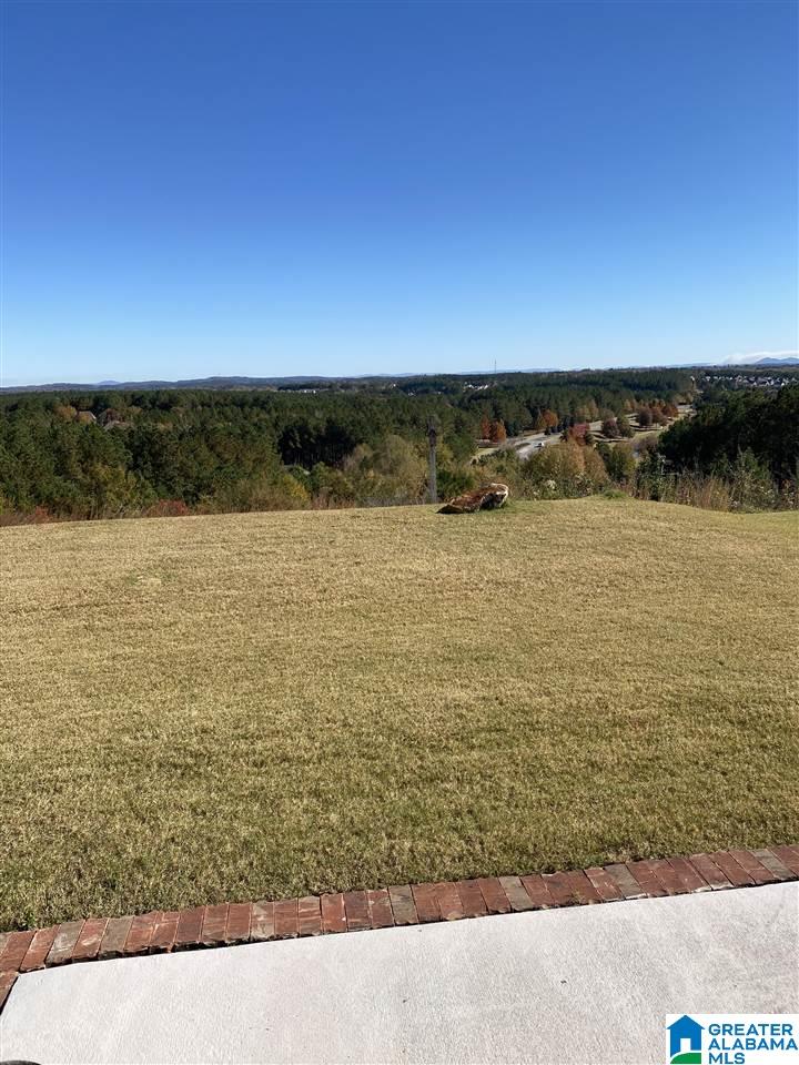 3116 Chelsea Park Ridge Chelsea, AL 35043 - Photo 25 of 25