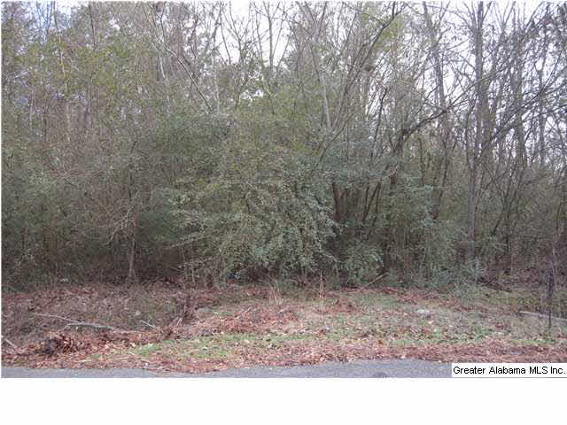 4143 Bannerman Road Southwest, Unit 1A/1B Bessemer, AL 35022 - Photo 1 of 2