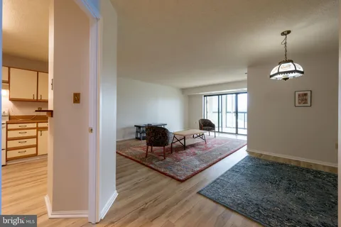 a living room with furniture rug and window