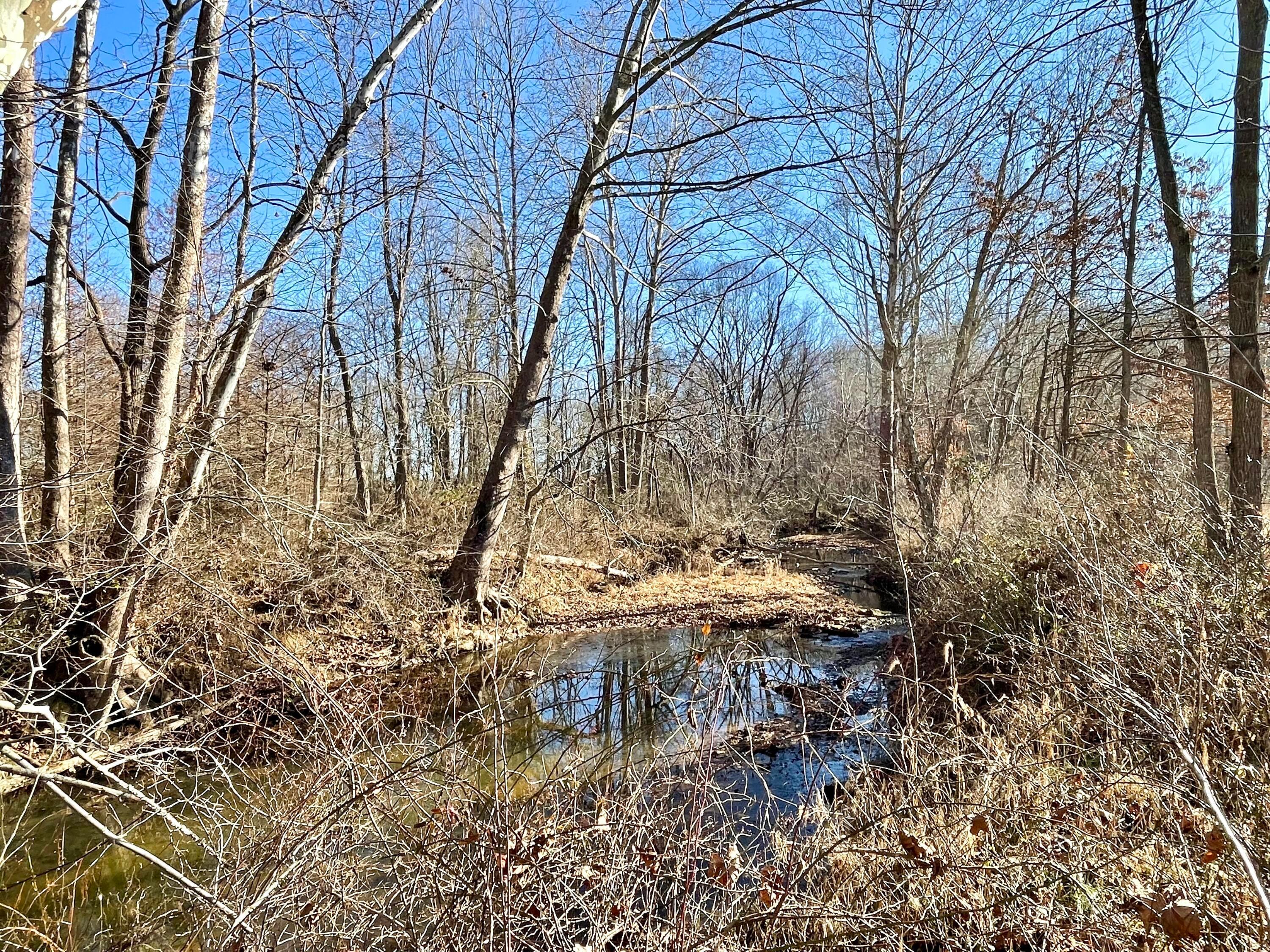 1368 Allen Road Beaver, OH 45613 - Photo 59 of 77 Another view of the Little Scioto River.