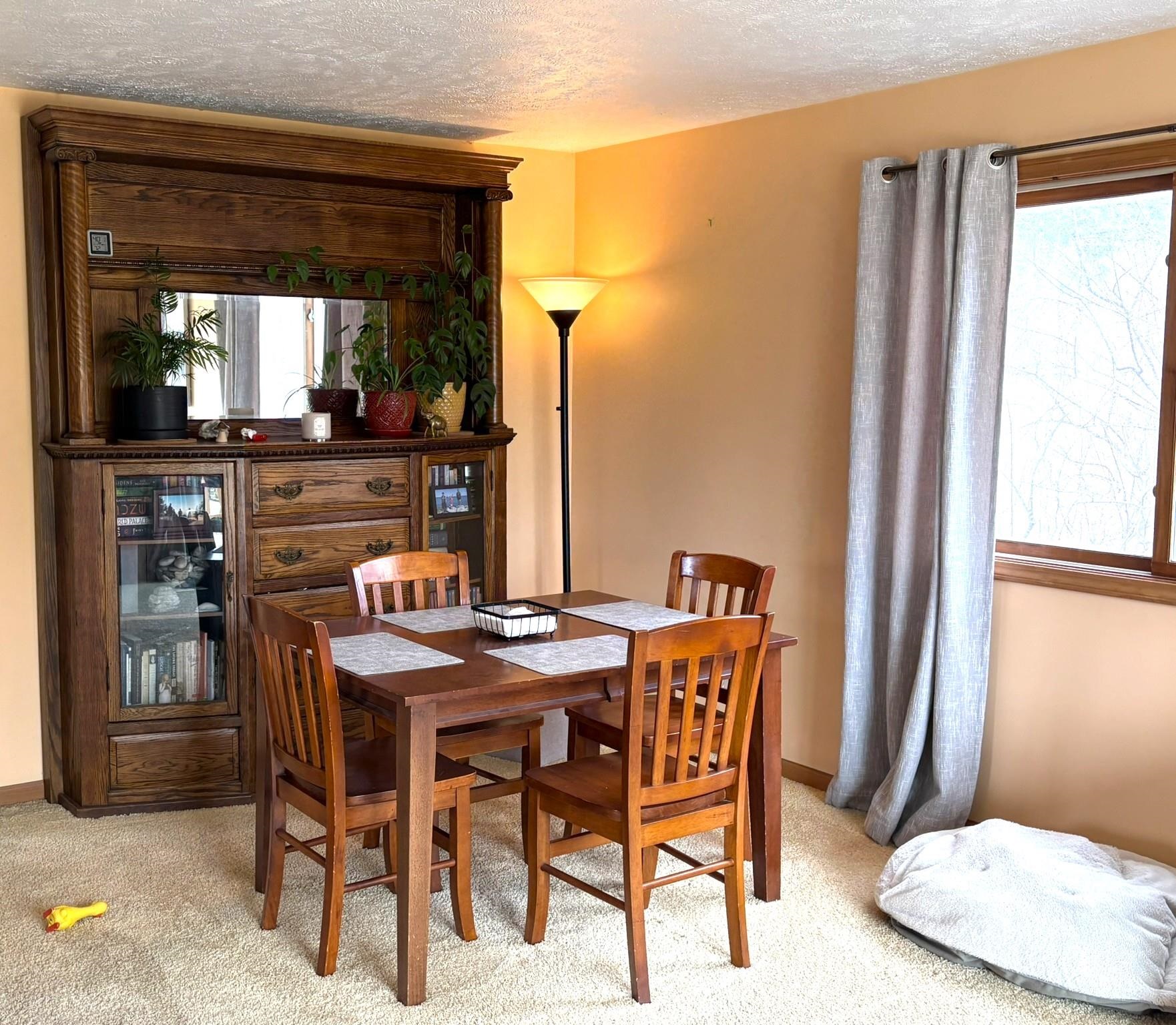 991 East Bellinger Road Cedar, MI 49621 - Photo 8 of 14
