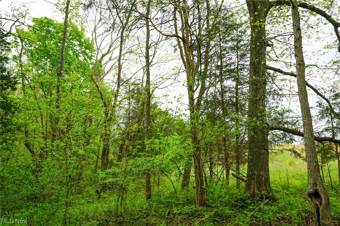 Hill Road Blue Creek, OH 45616 - Photo 23 of 26 Gallery Image 23