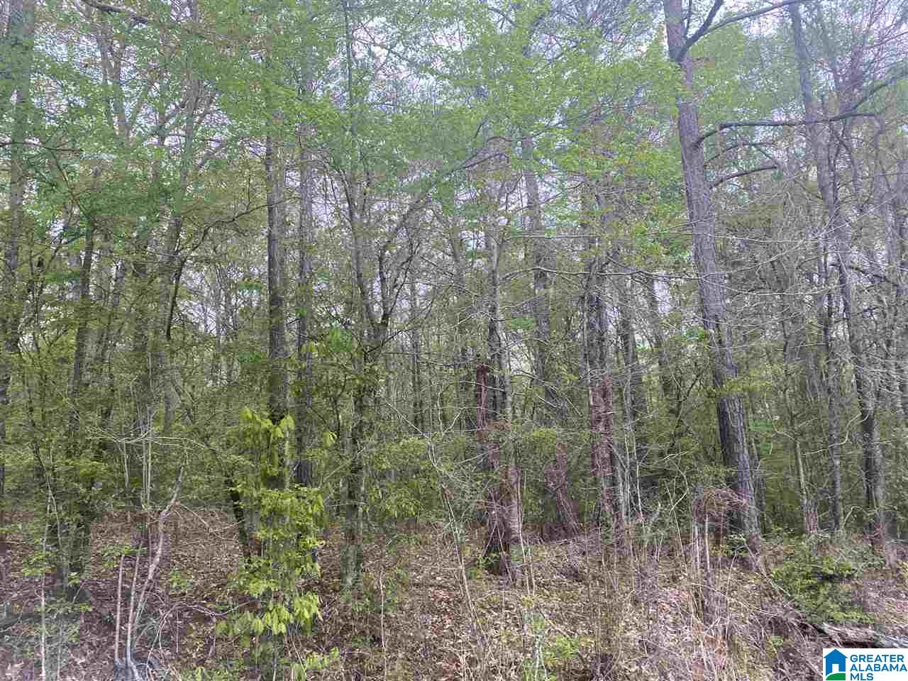 310 Fredric Ferry Road, Unit 5 AC Daviston, AL 36256 - Photo 3 of 10