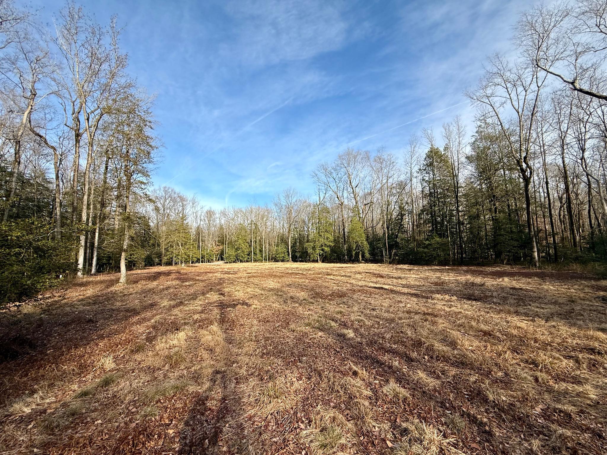 0 Utica Road, Unit PARCEL 3 Greenwood, DE 19950 - Photo 7 of 8 Parcel 3 view in early Spring.