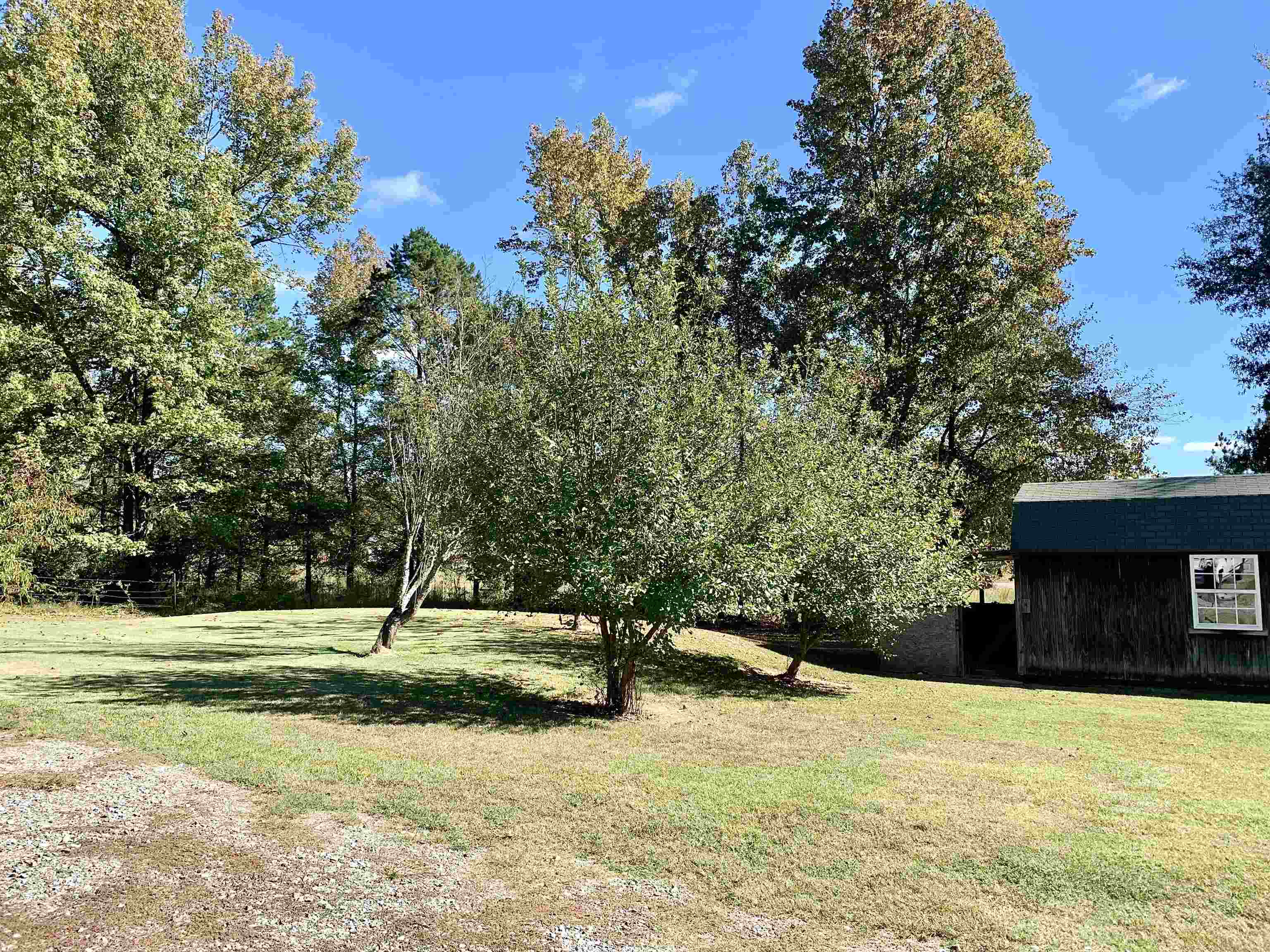 169 White Oak Cemetery Road Ramer, TN 38367 - Photo 7 of 36 Gallery Image 7