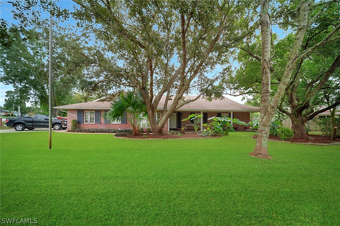 10244 Horizon Drive Spring Hill, FL 34608 - Photo 3 of 35 a view of a house with backyard and a tree