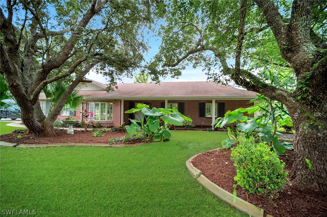 10244 Horizon Drive Spring Hill, FL 34608 - Photo 5 of 35 a front view of a house with garden and trees