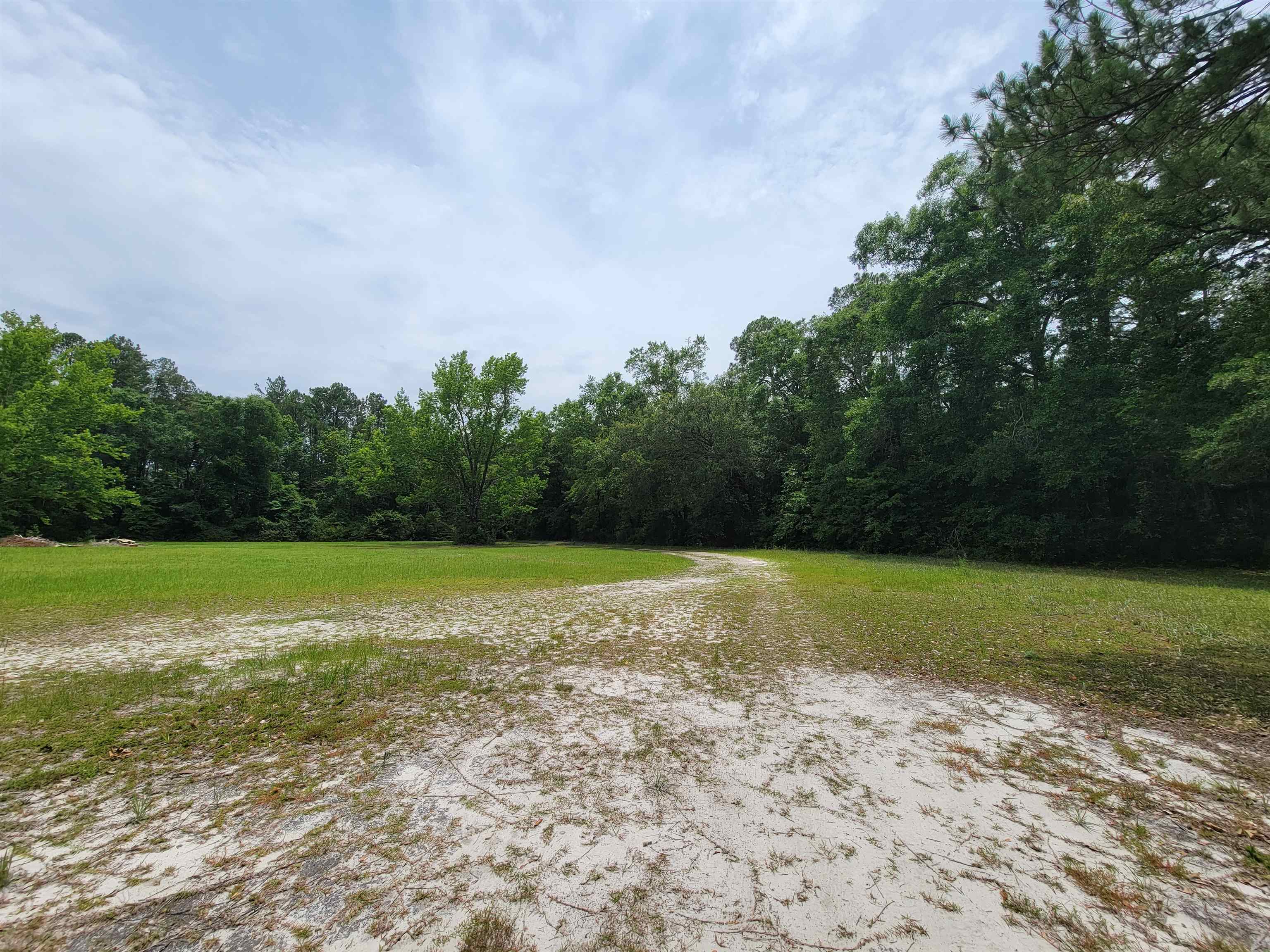 173 McCallister Road Crawfordville, FL 32327 - Photo 18 of 23